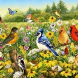 Ravensburger puzzel Vogelweide 500 stukjes