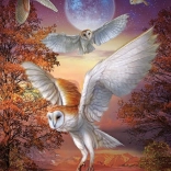 Puzzel Nachtelijke uilen 1000 stukjes ART PUZZLE