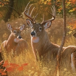 Puzzel Geheime Ontmoeting XL 275 stukjes COBBLE HILL