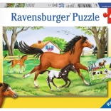 RAVENSBURGER puzzel paardenwereld 2×24 stukjes