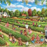 Falcon Puzzle Erdbeersammlung 1000 Teile