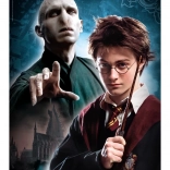 Puzzle 500 pièces HARRY POTTER