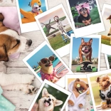 Puzzle 300 pièces - Photos de vacances