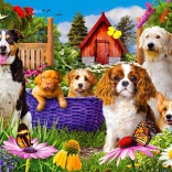 Genieße Puzzle Paw Patrol 1000 Teile