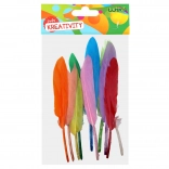 Creative Set of Decorative Feathers