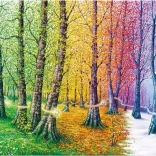 Puzzle Fasern des Lebens 1000 Teile MAGNOLIA