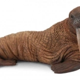 Collecta walrus figuur