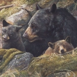 Puzzel Berenfamilie van Cobble Hill 1000 stukjes