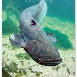 Wall Calendar Fishing 2026