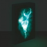 Cadre LED lumineux Harry Potter - Patronus