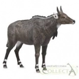 Nilgai figurine COLLECTA