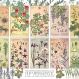 Puzzel Botanika van Verneuil 1000 stukjes