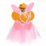 Set de carnaval lapin rose