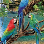 EUROGRAPHICS puzzel ara’s XL 250 stukjes