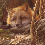 Puzzel COBBLE HILL Een vriendelijke aanraking – 500 stukjes