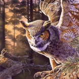 Puzzel Avondjager 1000 stukjes