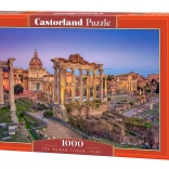 1000-Piece Puzzle – Roman Forum, Rome, Italy