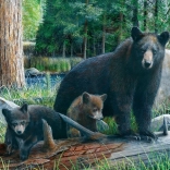 Eurographics Puzzle Neue Entdeckungen 1000 Teile