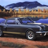 Plastic model Shelby Mustang GT350H