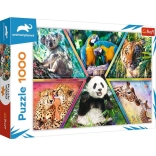 Puzzle 1000 pièces – royaume des animaux ANIMAL PLANET