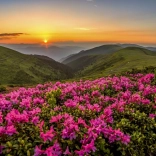 Puzzel Roze schemering 1000 stukjes