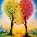 Puzzle Magnolia Verbindung 1000 Teile