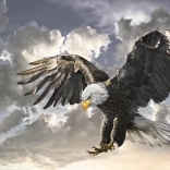 Puzzel Zwart en Wit 500 Stukken