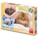 Puzzles pour enfants chatons mignons 3×55 pièces