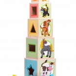 Wooden Stacking Cups with Shapes – Tower with Sorter