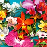 Puzzle Dschungelorchidee 1000 Teile