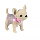 Chien chihuahua DIDI