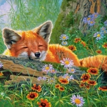 Puzzel 500 stukjes Foxy Dreams