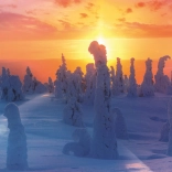 Puzzle Nature finlandaise 1000 pièces