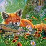 Puzzel 100 stukjes Foxy Dreams