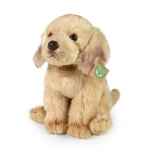 pluchen labrador eco-friendly 27 cm