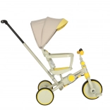 Yellow-Grey