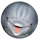 Onderwaterbal SPORTO – dolfijn voor zwembad en tuin