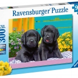 Ravensburger puzzel Puppy Life 300 stukjes