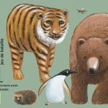 DJECO Card Game Who is Who