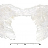 Engelenvleugels voor kostuum