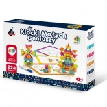 Bouwset Geometrische Sneeuwvlokken - 224 onderdelen