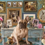Puzzel Franse Bulldog 500 stukjes Cobble Hill