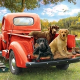 Puzzel Vrienden aan het vissen 1000 stukjes