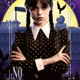 Puzzel 300 stukjes Wednesday