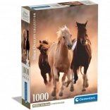 Puzzle Chevaux au galop 1000 pièces