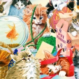 Genieße Puzzle Neugierige Katzen 1000 Teile