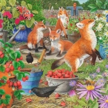 Puzzel Vosse-dames 1000 stukjes