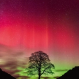 Heye Puzzel Kracht van de Natuur: Sycamore Gap 1000 Stukken