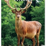 Muurkalender Jacht 2026