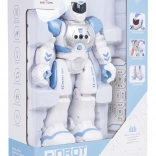 Multifunctional Interactive Robot SMART-BOT with Remote Control